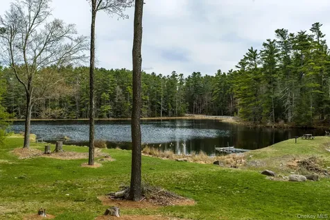 10 Stag Forest Road Forestburgh NY 12777