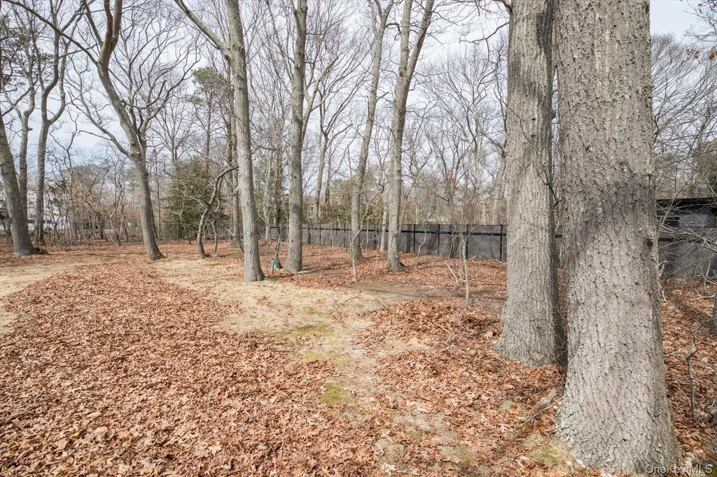 18 Maple Avenue Bellport NY 11713
