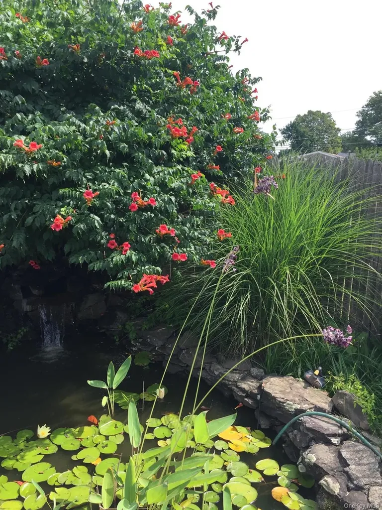 35 W 13th Street Deer Park NY 11729