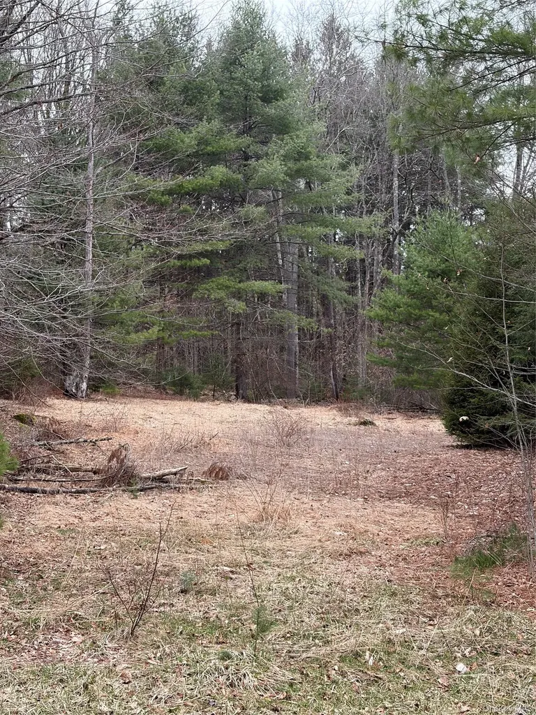 378 Gregory Road Monticello NY 12701