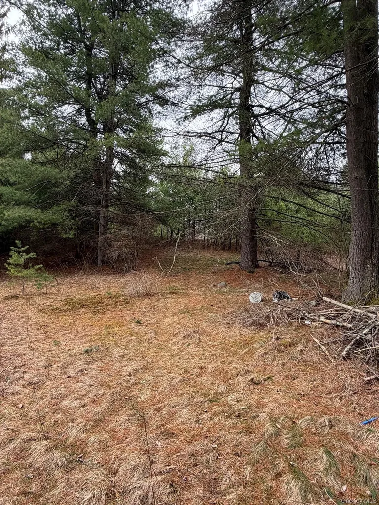 378 Gregory Road Monticello NY 12701