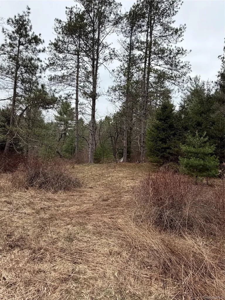 378 Gregory Road Monticello NY 12701