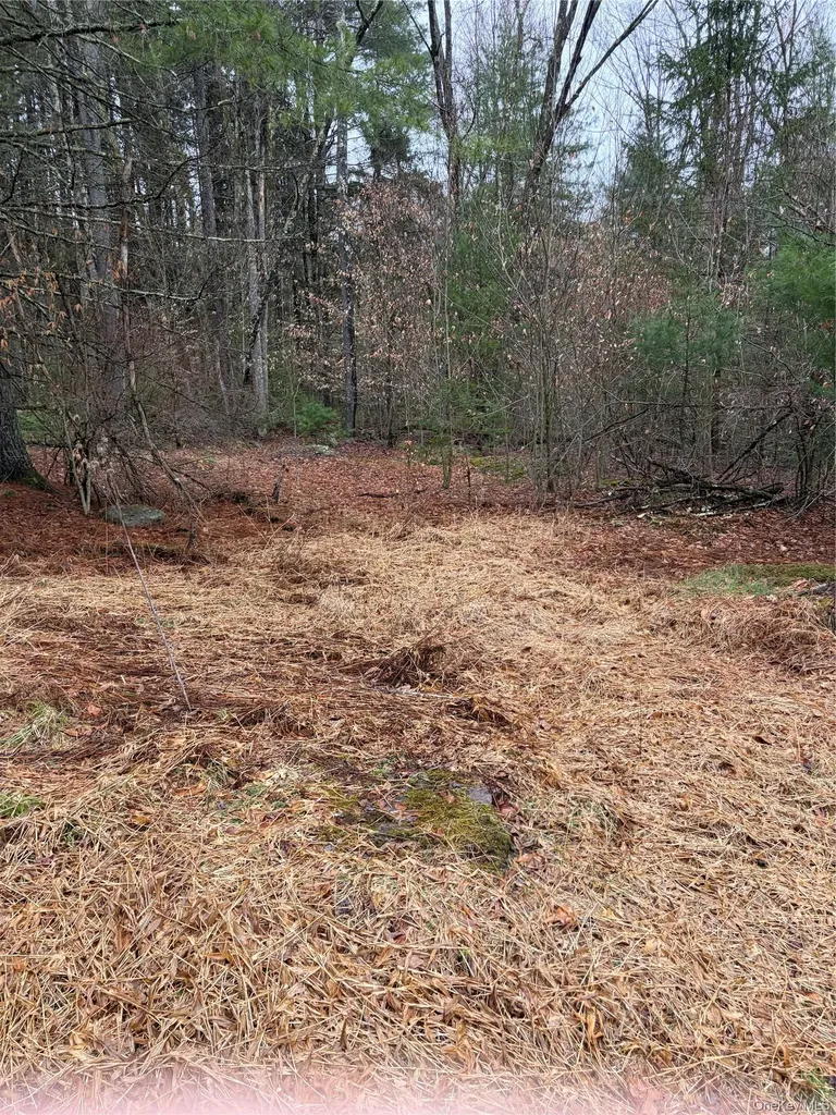 378 Gregory Road Monticello NY 12701