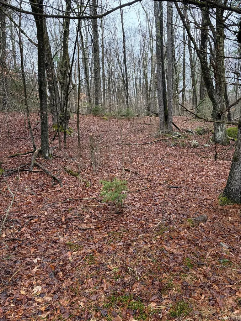 378 Gregory Road Monticello NY 12701