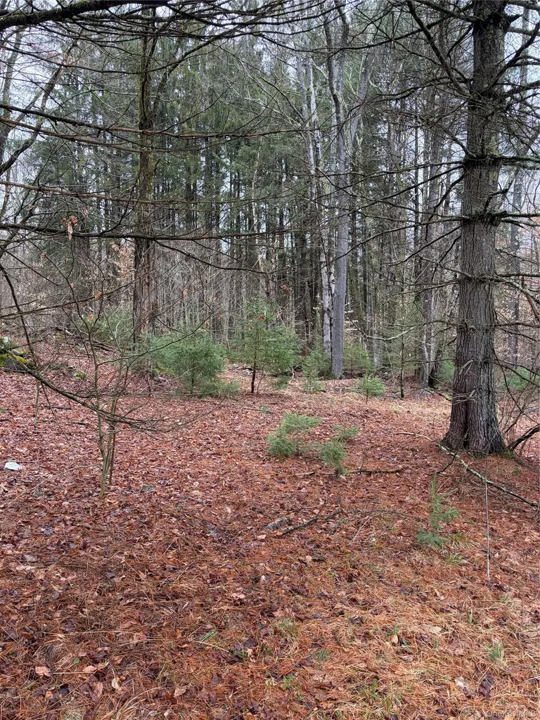 378 Gregory Road Monticello NY 12701