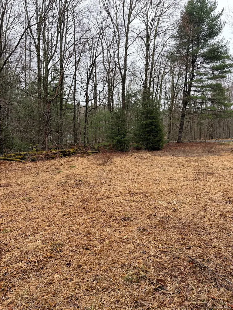 378 Gregory Road Monticello NY 12701