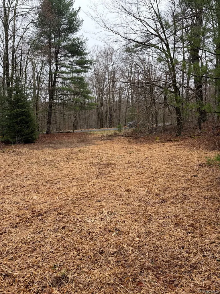 378 Gregory Road Monticello NY 12701