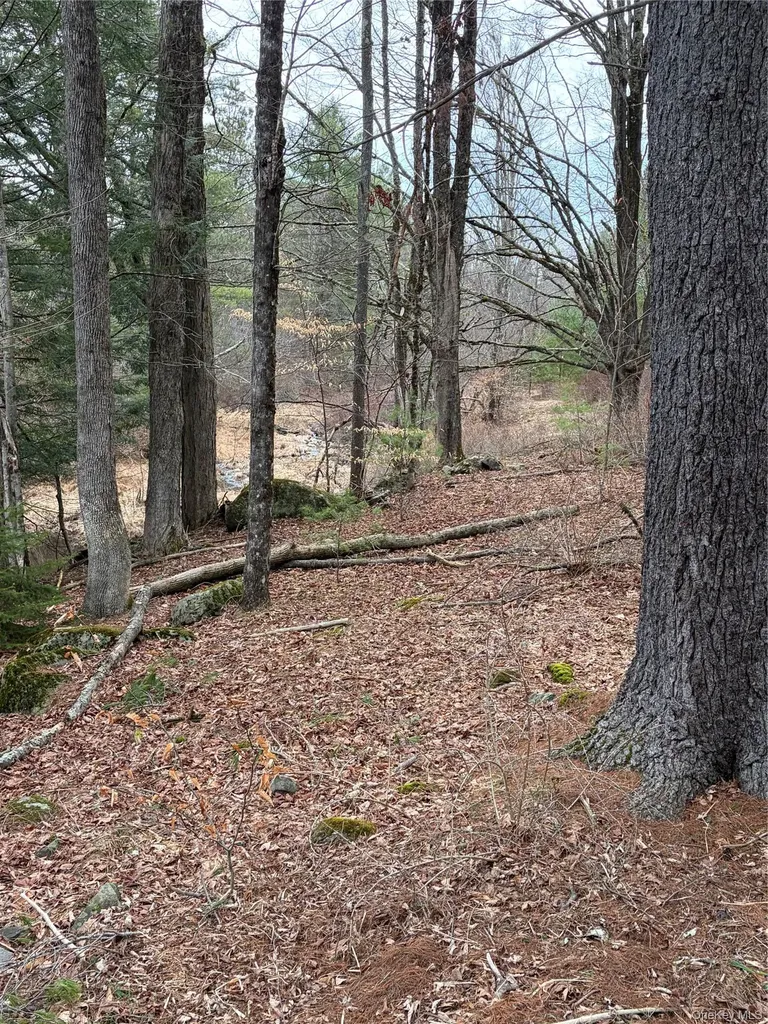 378 Gregory Road Monticello NY 12701