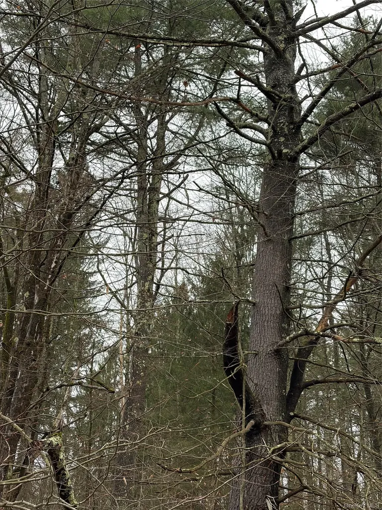 378 Gregory Road Monticello NY 12701