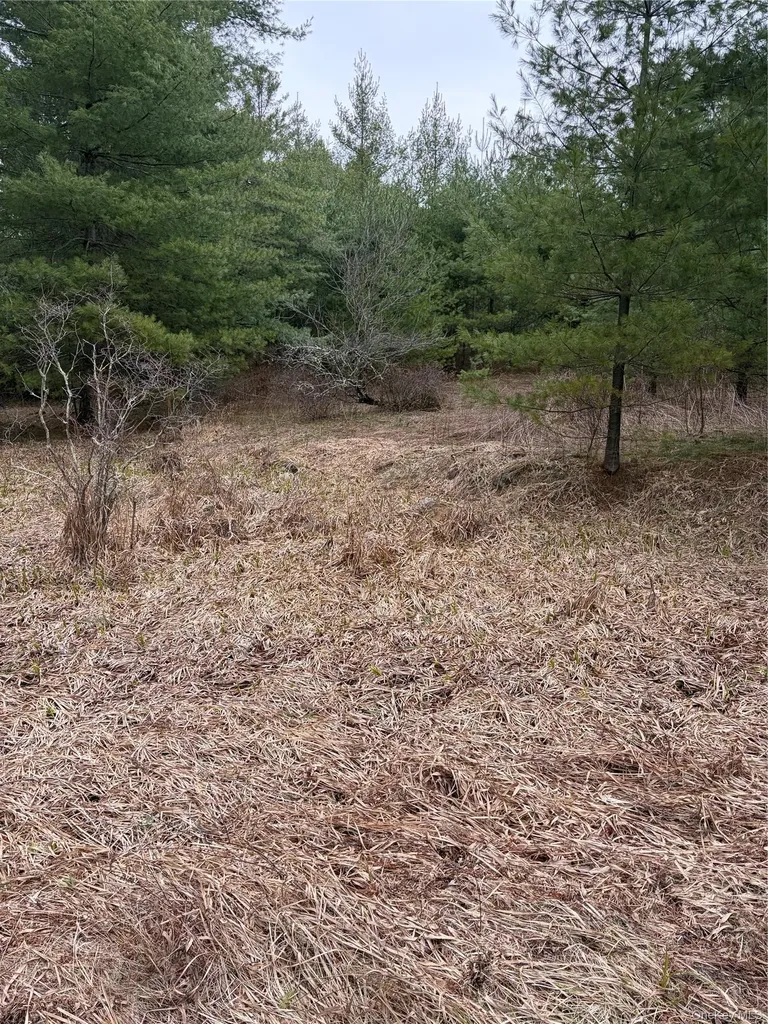 378 Gregory Road Monticello NY 12701