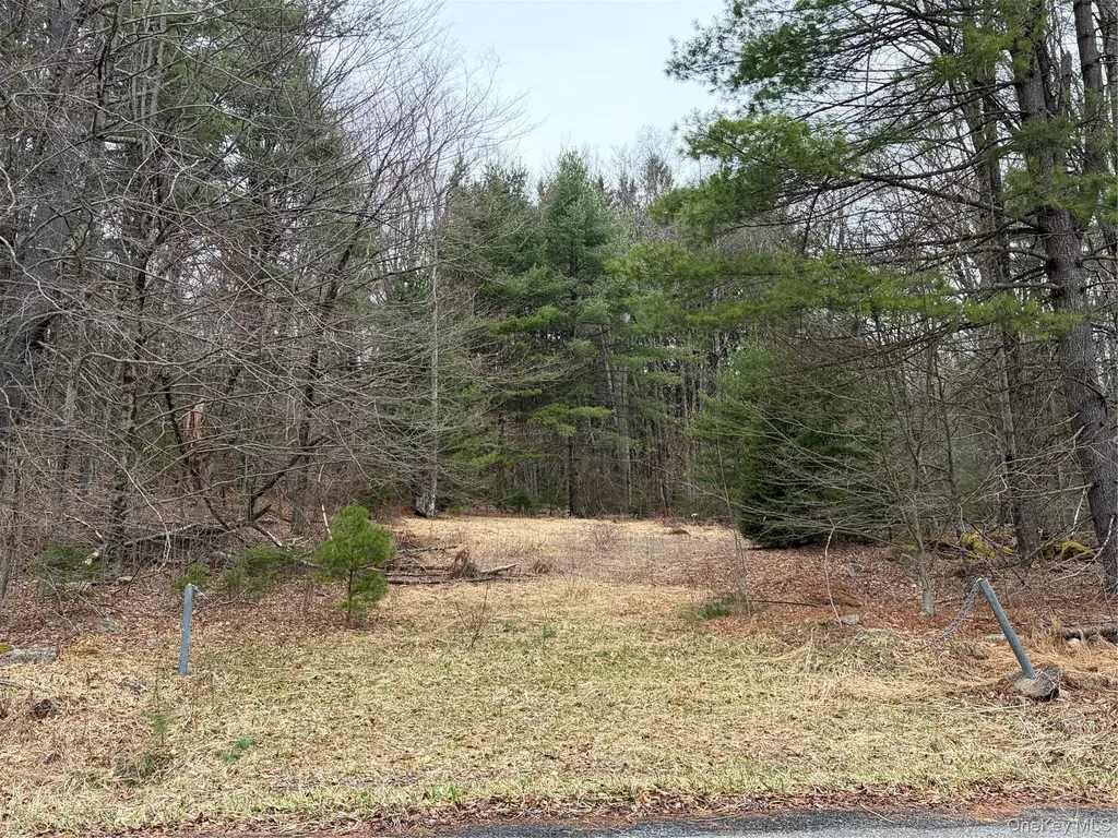 378 Gregory Road Monticello NY 12701