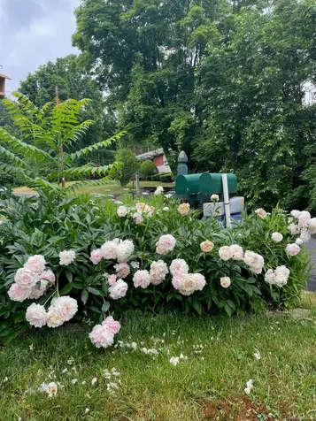 12 Anita Court Kingston NY 12401