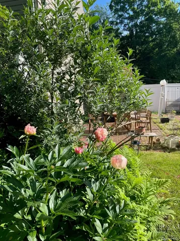 12 Anita Court Kingston NY 12401