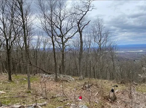 Woodmont Road Hopewell Junction NY 12533