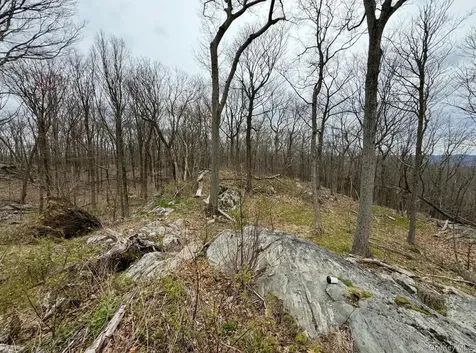 Woodmont Road Hopewell Junction NY 12533