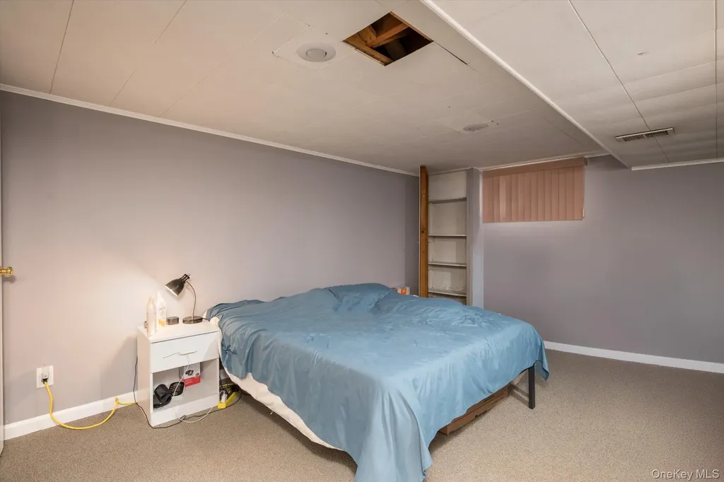 42 Netto Lane Plainview NY 11803