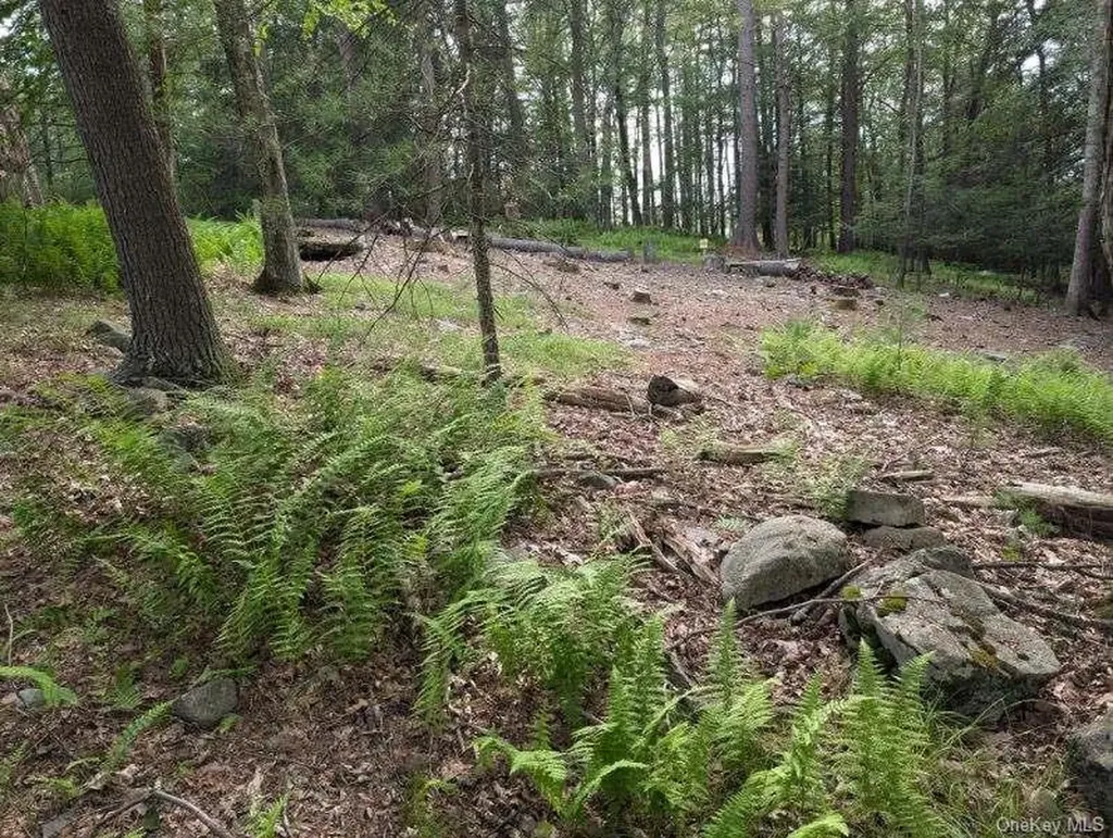 Eldred-yulan Road Call Listing Agent NY 12792