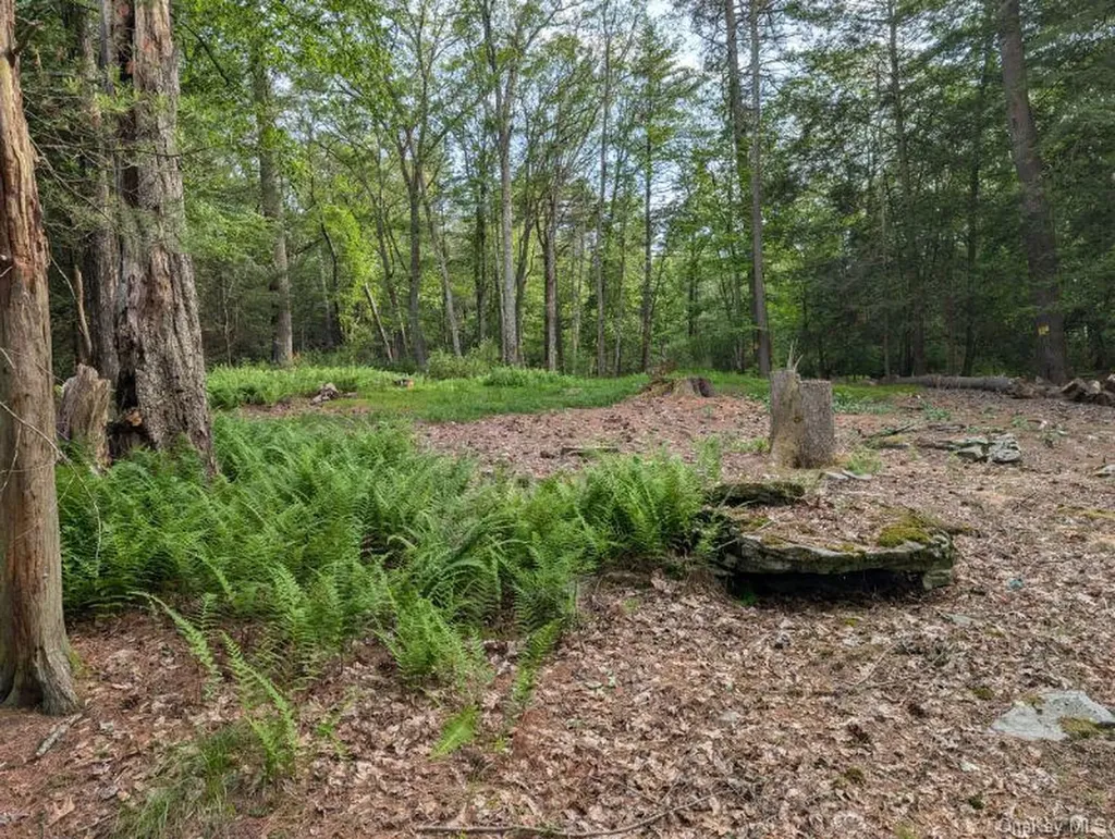 Eldred-yulan Road Call Listing Agent NY 12792