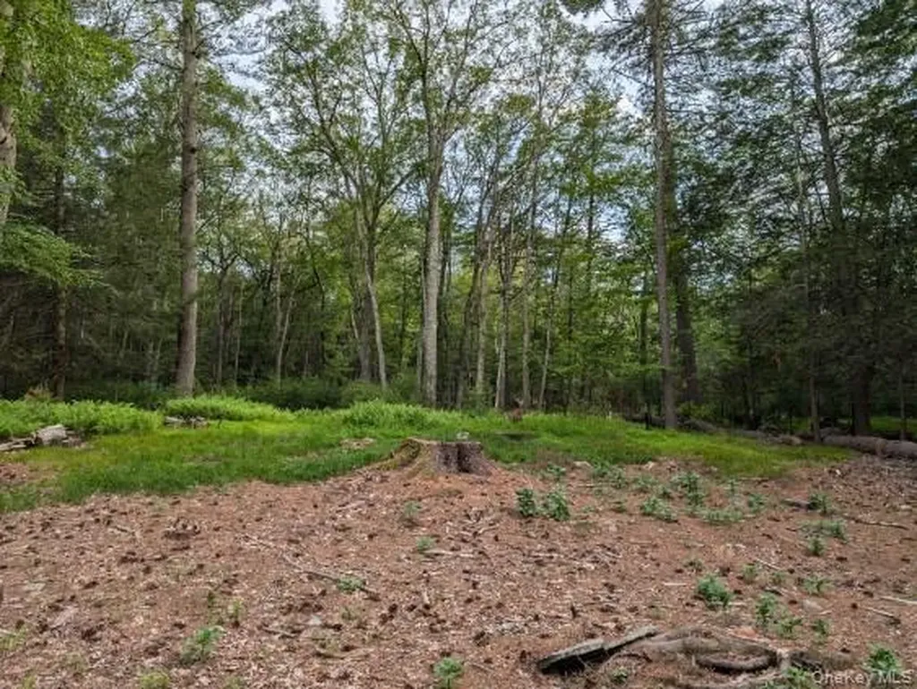 Eldred-yulan Road Call Listing Agent NY 12792