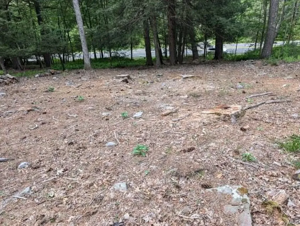 Eldred-yulan Road Call Listing Agent NY 12792