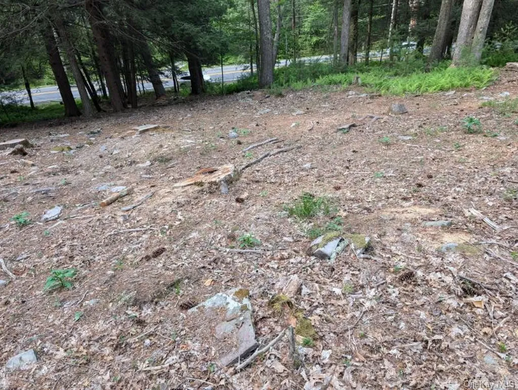 Eldred-yulan Road Call Listing Agent NY 12792