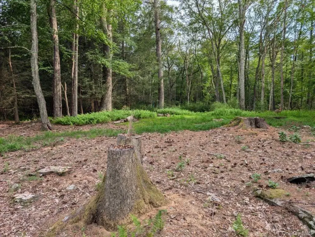Eldred-yulan Road Call Listing Agent NY 12792