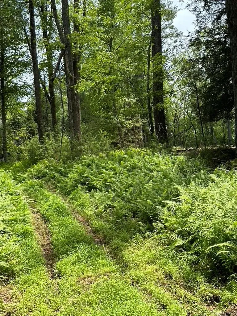 Eldred-yulan Road Call Listing Agent NY 12792