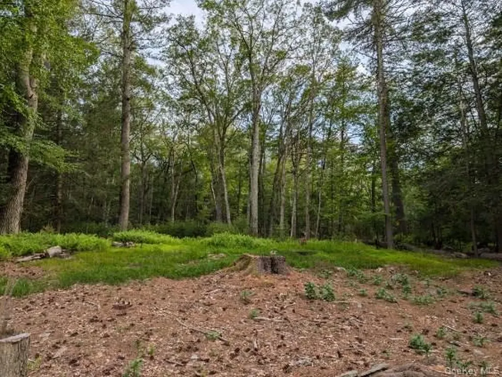 Eldred-yulan Road Call Listing Agent NY 12792