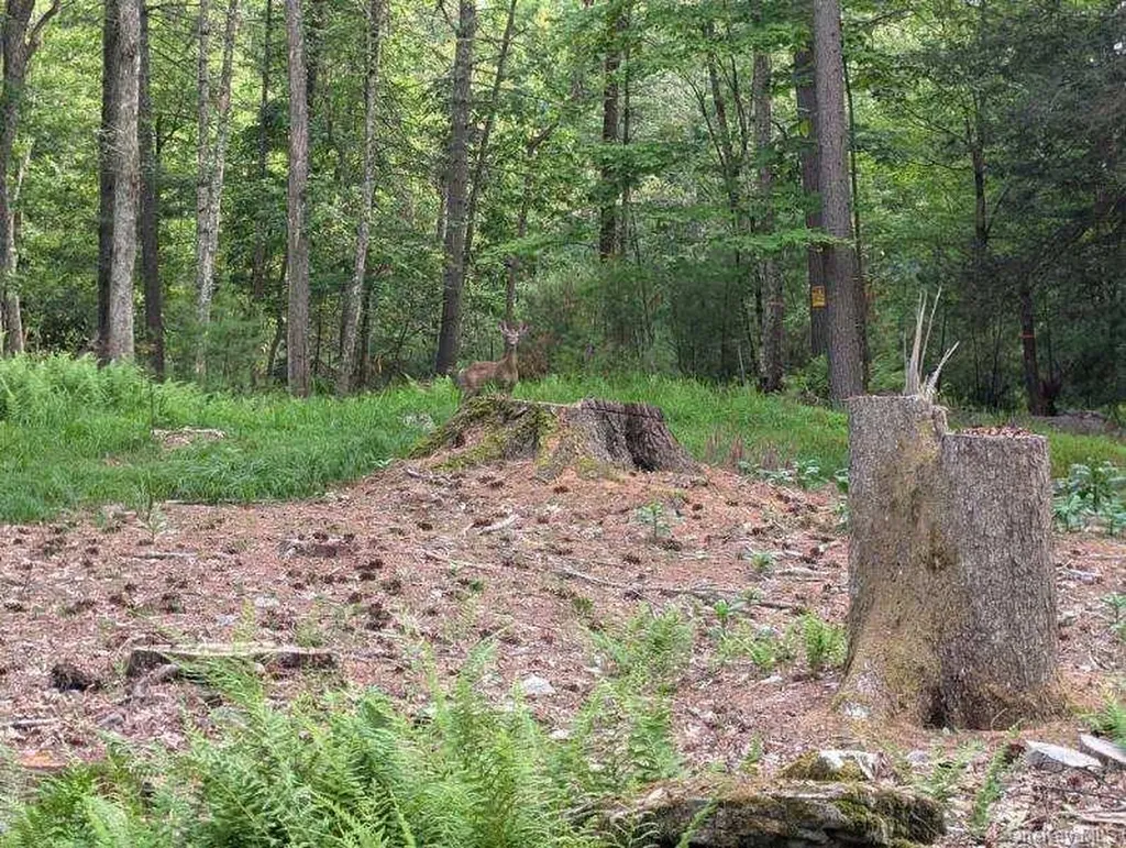 Eldred-yulan Road Call Listing Agent NY 12792
