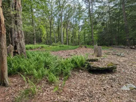 Eldred-yulan Road Call Listing Agent NY 12792
