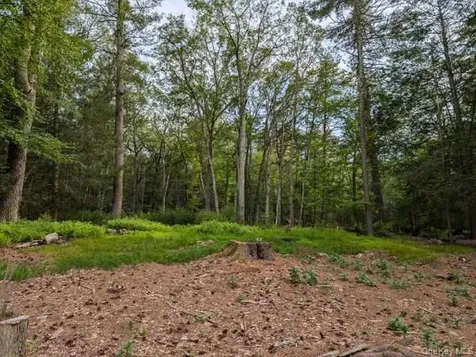 Eldred-yulan Road Call Listing Agent NY 12792