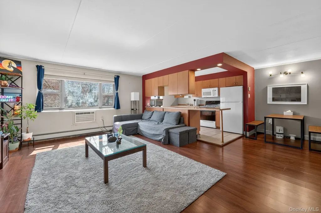 100 Clinton Avenue Mineola NY 11501