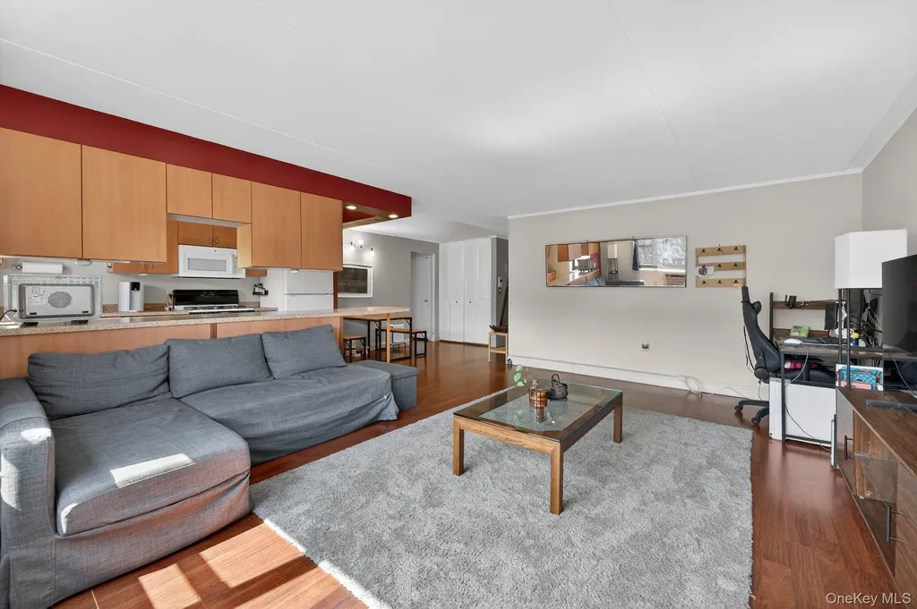 100 Clinton Avenue Mineola NY 11501