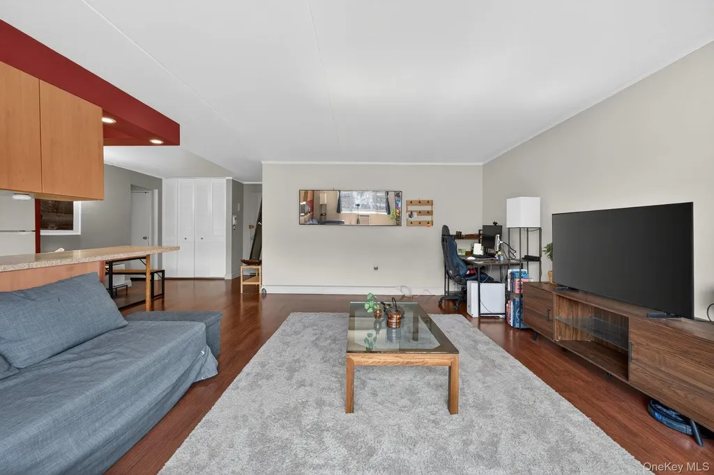 100 Clinton Avenue Mineola NY 11501