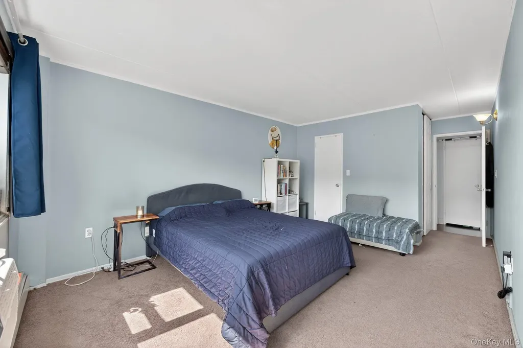 100 Clinton Avenue Mineola NY 11501