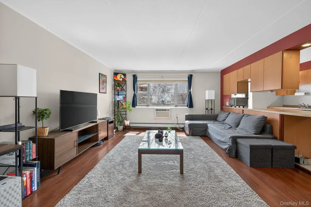 100 Clinton Avenue Mineola NY 11501