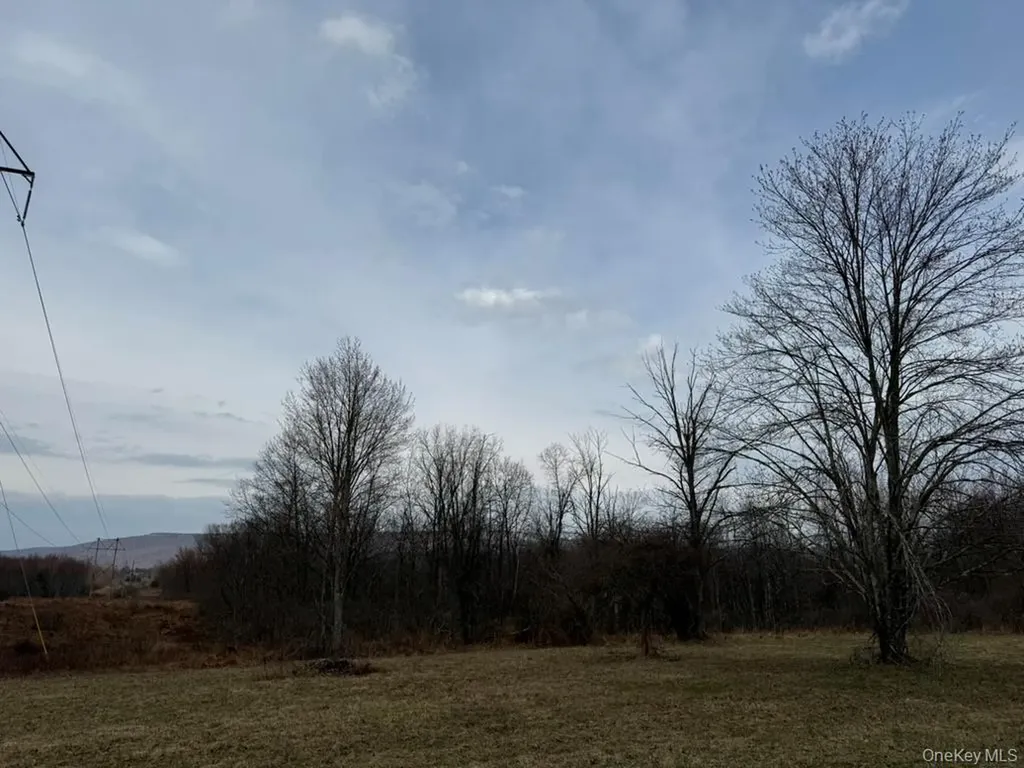 6 Stokes Lane Gardiner NY 12525
