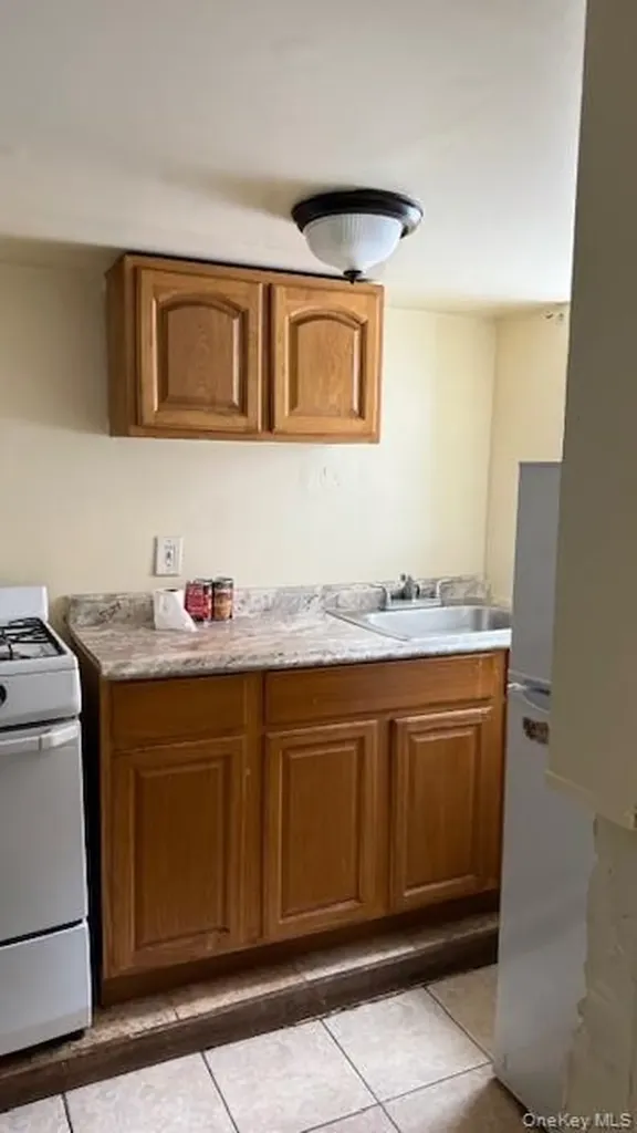 959 E 227th Street Bronx NY 10466