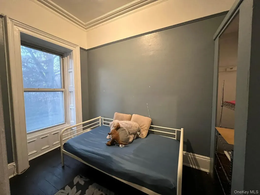 4 Brevoort Place Brooklyn NY 11216