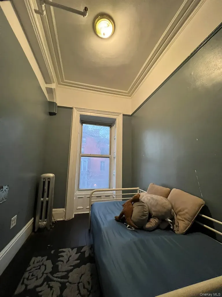 4 Brevoort Place Brooklyn NY 11216
