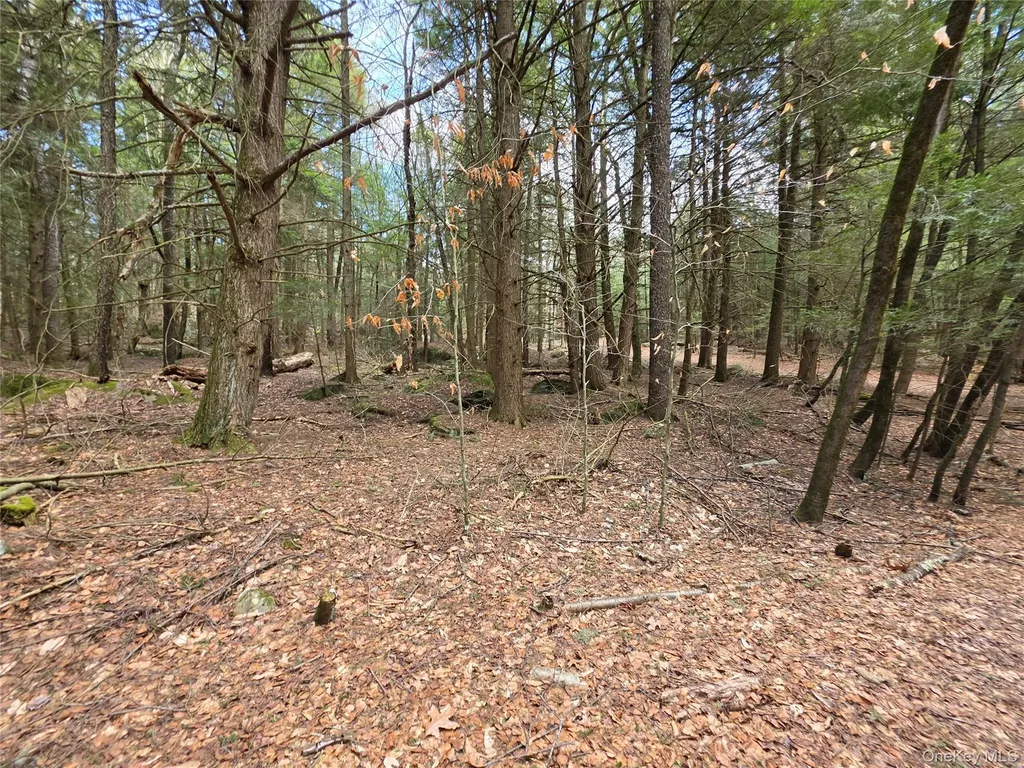 Tbd Bobwhite Trail Mongaup Valley NY 12762
