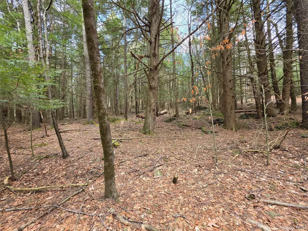 Tbd Bobwhite Trail Mongaup Valley NY 12762