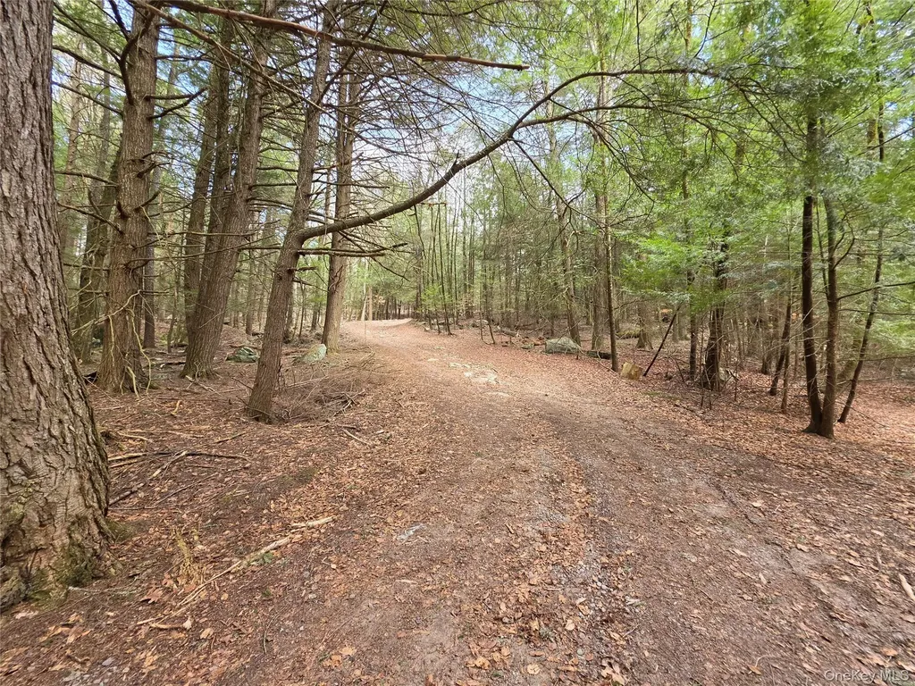 Tbd Bobwhite Trail Mongaup Valley NY 12762