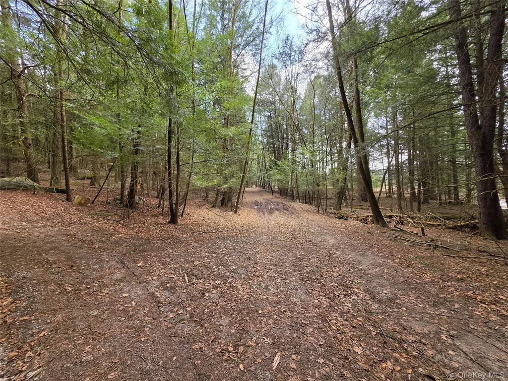 Tbd Bobwhite Trail Mongaup Valley NY 12762