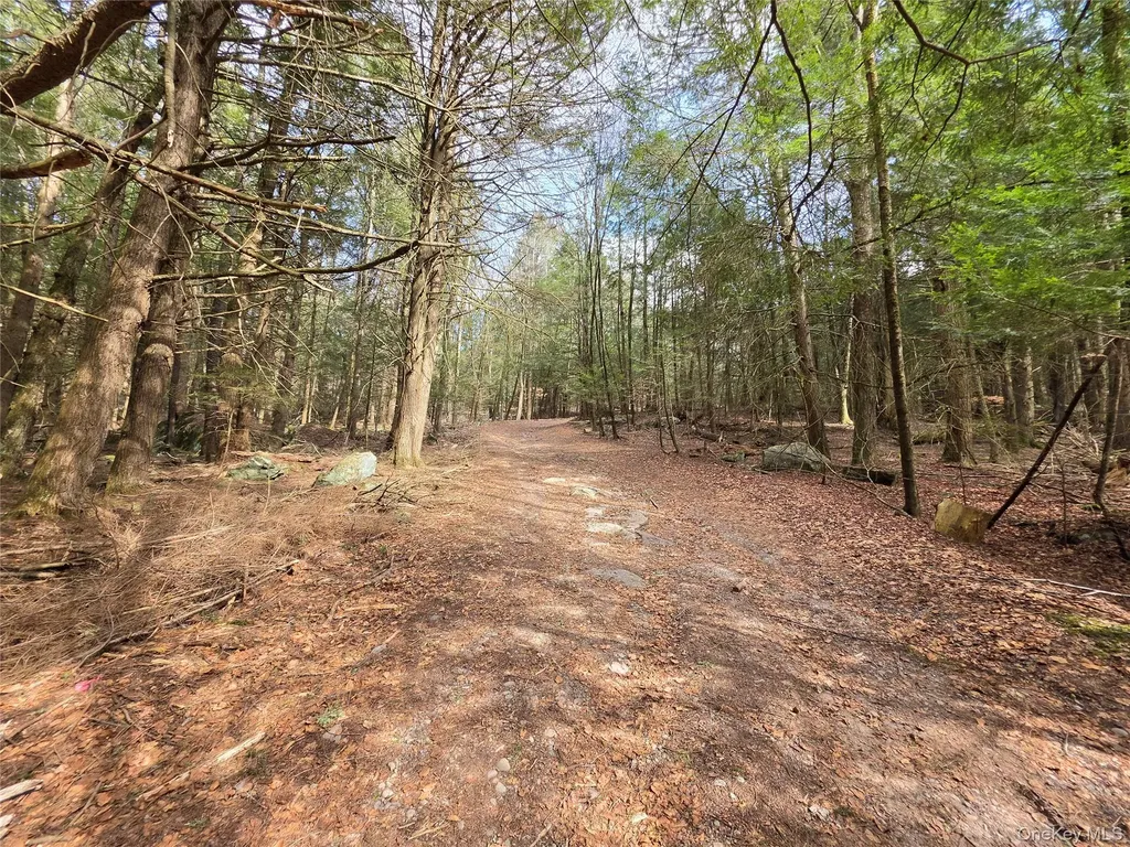 Tbd Bobwhite Trail Mongaup Valley NY 12762