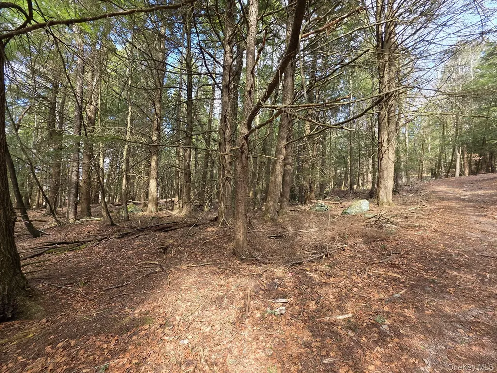 Tbd Bobwhite Trail Mongaup Valley NY 12762