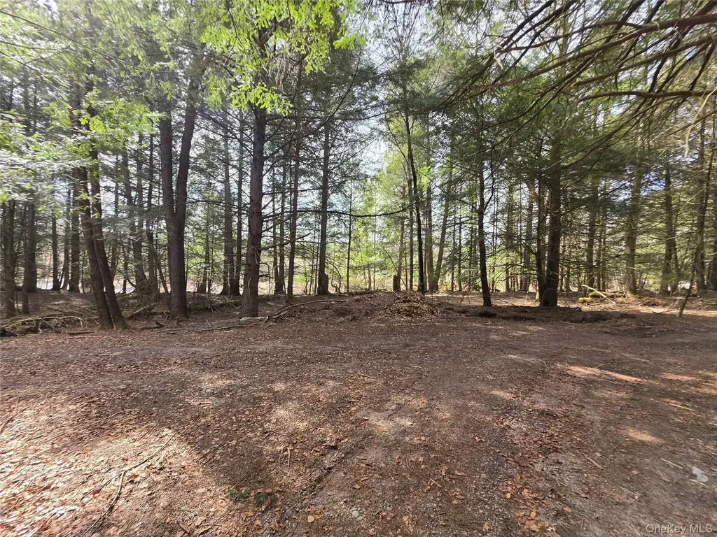 Tbd Bobwhite Trail Mongaup Valley NY 12762