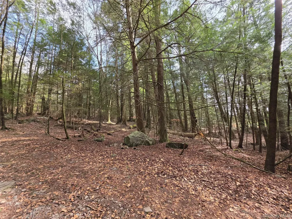 Tbd Bobwhite Trail Mongaup Valley NY 12762