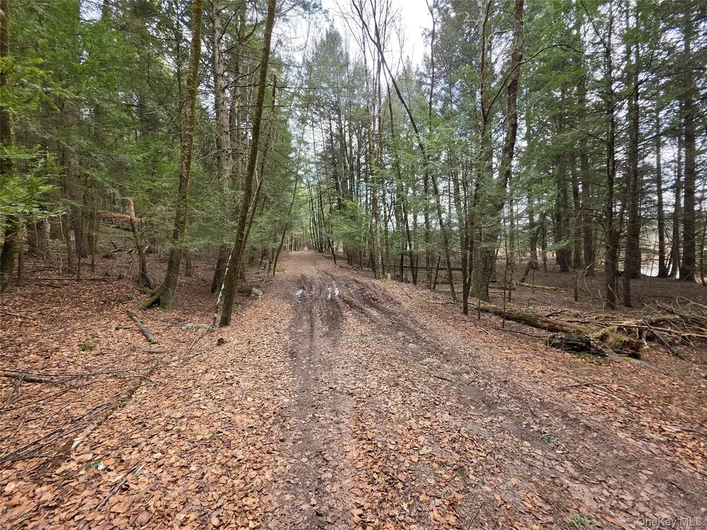 Tbd Bobwhite Trail Mongaup Valley NY 12762