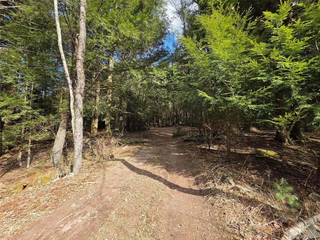 Tbd Bobwhite Trail Mongaup Valley NY 12762